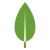 MongoDB logo